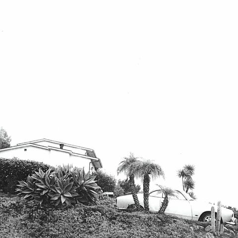 Cover of Hot Dreams by Timber Timbre