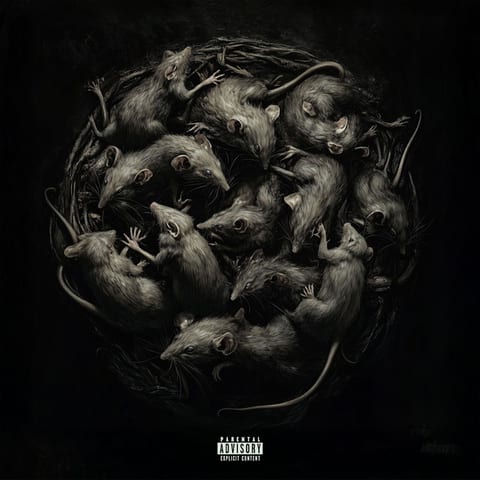 Cover of ROTTA (feat. ibe) by Sexmane