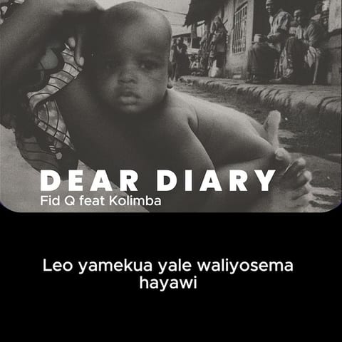 Cover of DEAR DIARY by Fid q