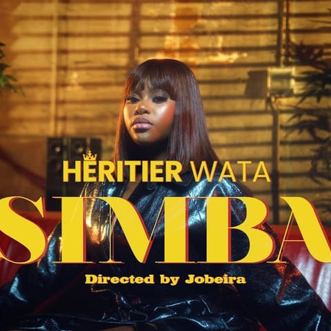 Cover of Simba by Héritier Wata