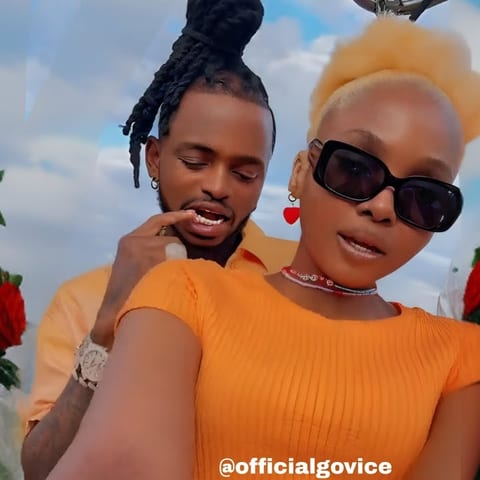 Cover of Diamond Platnumz Feat. Zuchu - Zuhura by Everything 254