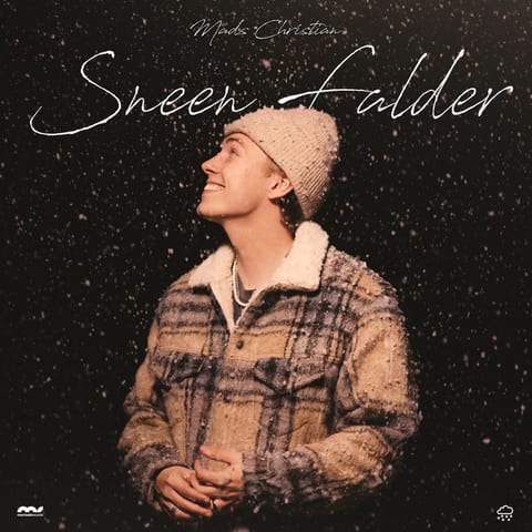 Cover of Sneen Falder by Mads Christian