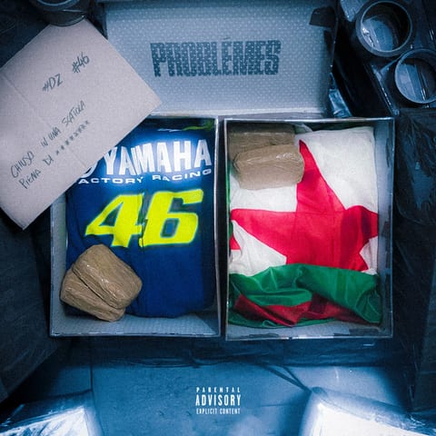 Cover of Problèmes by Néza