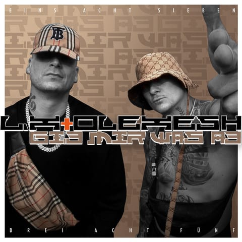 Cover of Gib mir was ab by LX