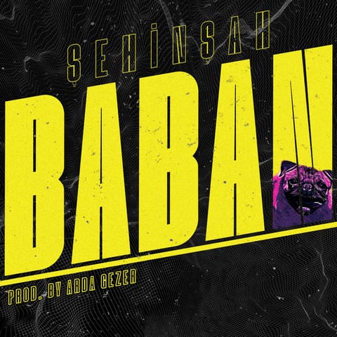 Cover of Baban by Şehinşah