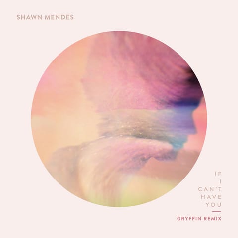 Cover of If I Can't Have You - Gryffin Remix by Shawn Mendes