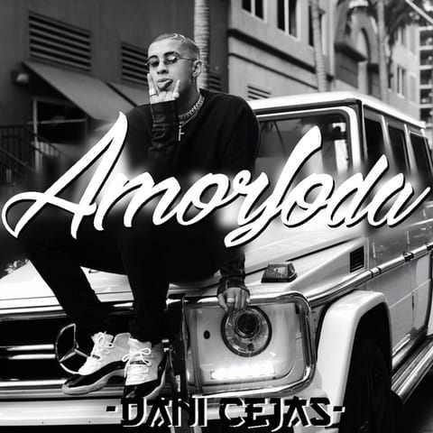 Cover of Amorfoda by Dani Cejas