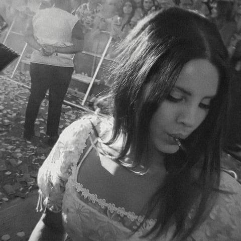 Cover of Meet Me in The Pale Moonlight by EMF Reader